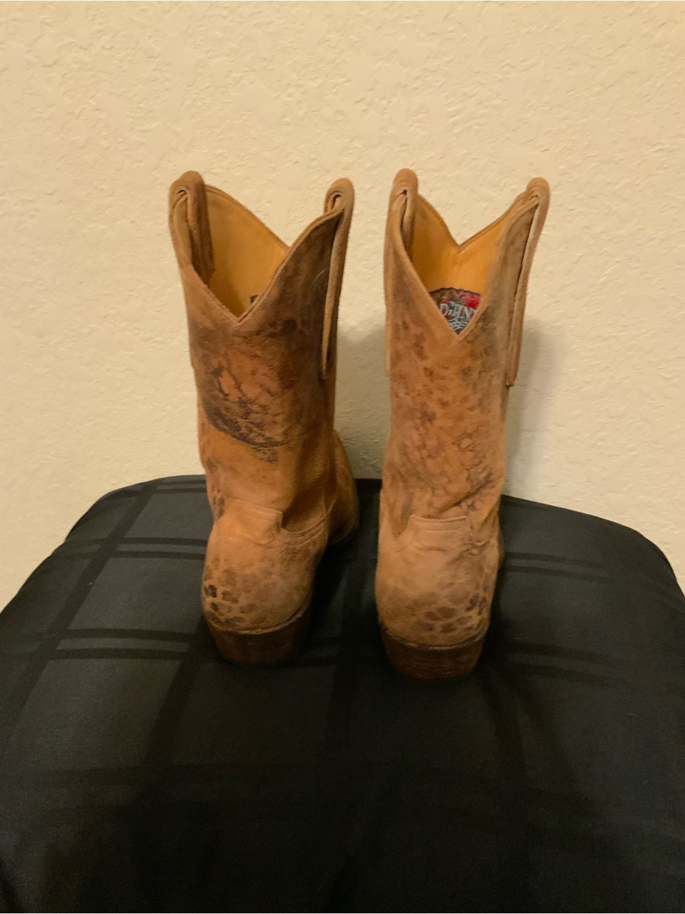 Old Gringo Leopardito Woman’s Boots - Picture 4 of 7